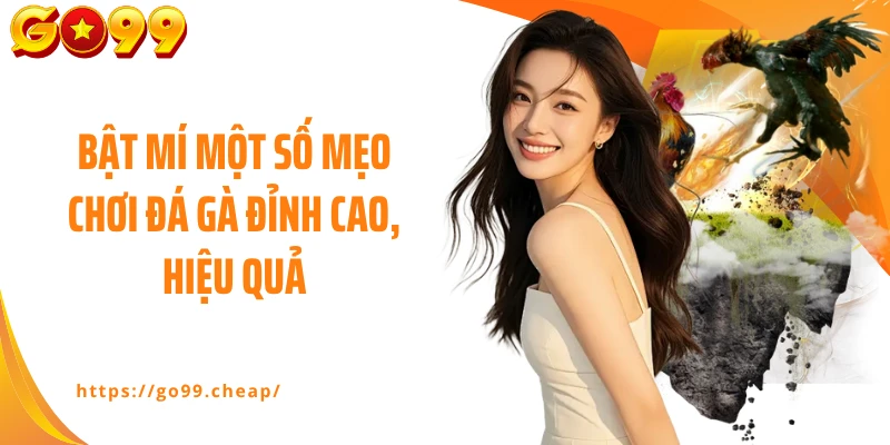 Bật mí một số mẹo chơi đá gà đỉnh cao, hiệu quả